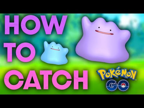 HOW TO CATCH DITTO in POKEMON GO | MARCH 2022