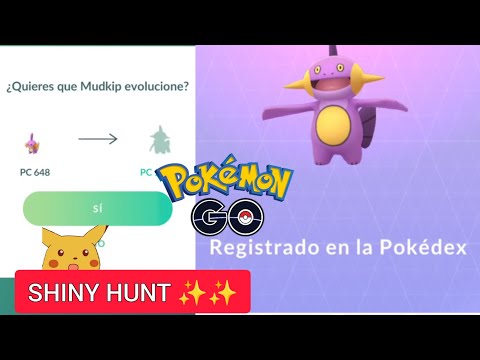 Evolucion Mudkip en Marshtomp shiny ✨ Pokemon GO #pokemongo