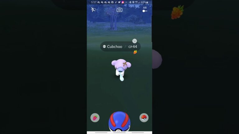 Shiny Ribbon Cubchoo Catch Pokemon GO 2020
