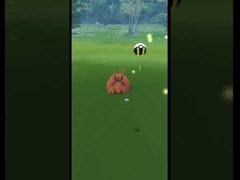 Shiny Venipede Encounter In Pokemon Go