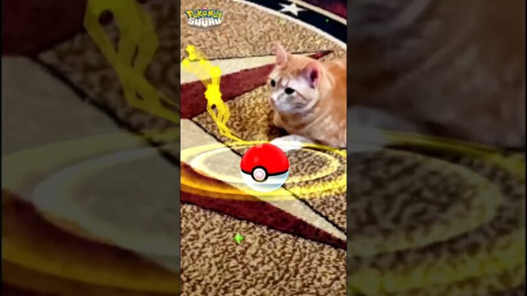 Let’s Catch Mew! Pokémon Go! #pokemon #pokemongo