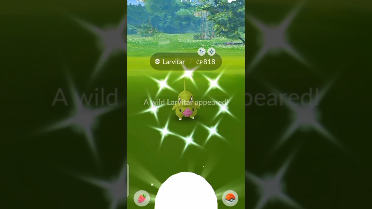 Got shiny larvitar on community day in pokemon go #shorts #viral #pokemongo #trending #ytshorts