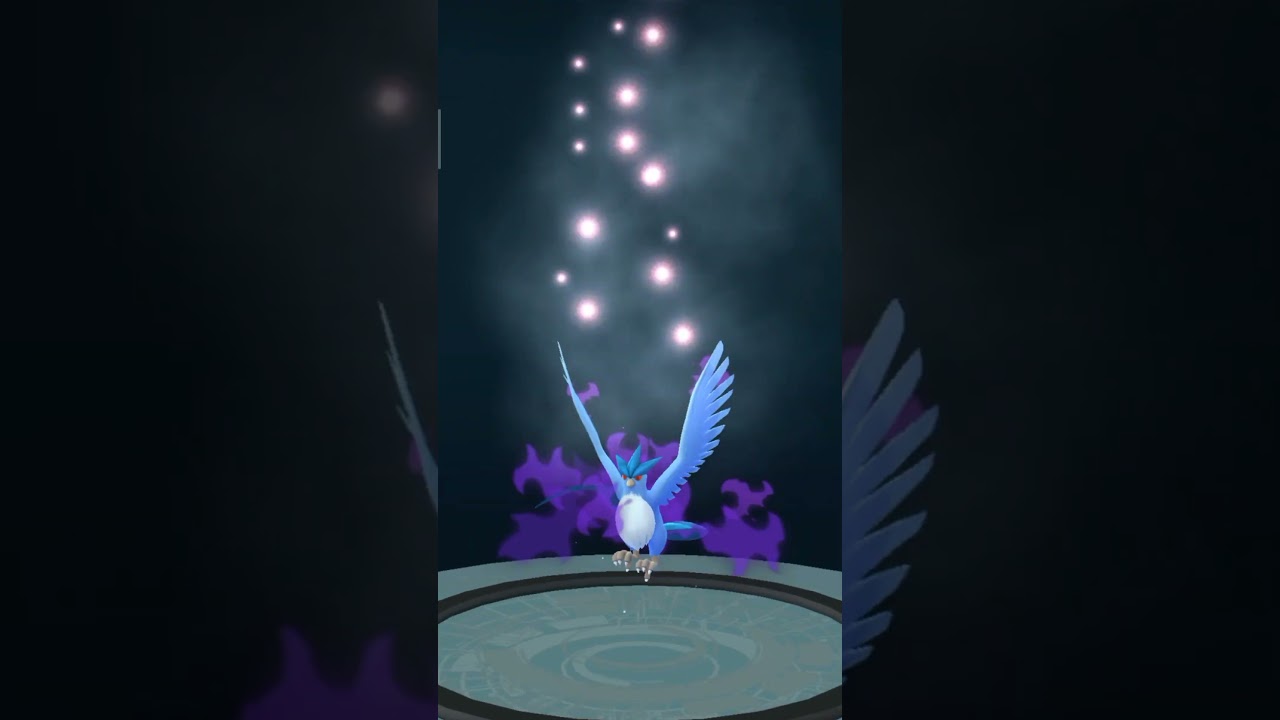 Purifying Shadow Articuno to get 100 iv legendary in pokemon go #shorts #youtubeshorts #pokemongo