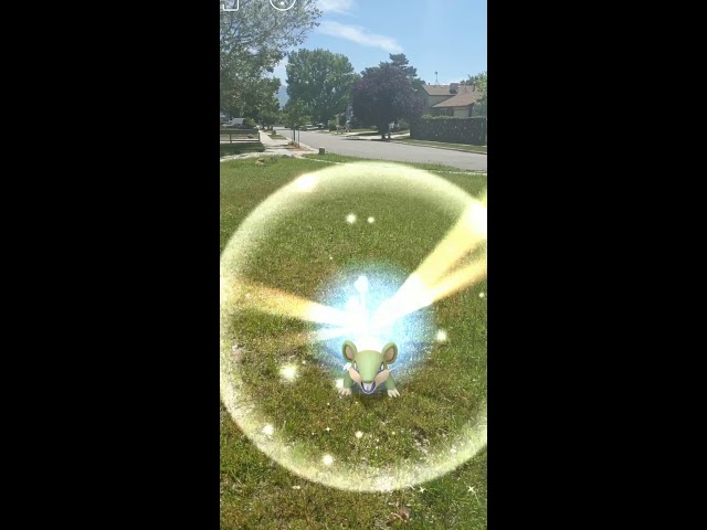Pokemon Go Shiny Hunting – Shiny Rattata