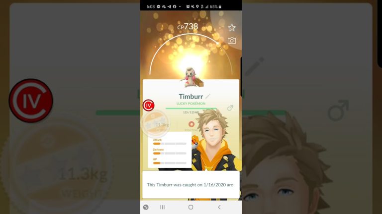 Pokemon Go 2020: Timburr Lucky Trade