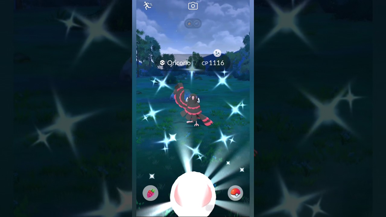 Shiny✨Oricorio catch in Pokemon go #shorts #mystic7 #pokemon #pokemongo #shinypokemon #shinyhunting