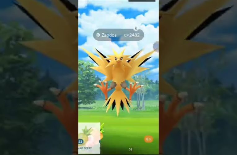 ✨Zapdos raid guide! Zapdos raids live pokemon go! Zapdos Pokemon go