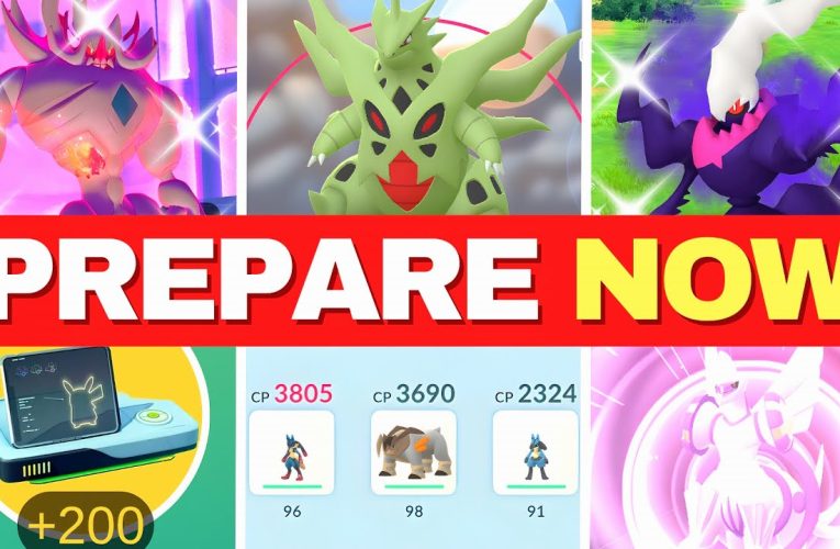 Do This BEFORE GO Wild Area 2025!