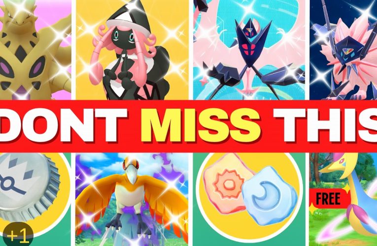 BEST TIPS For The INTO THE WILD Event!