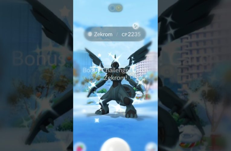 OMG 😲 shiny Zekrom ❤ ✨ || Pokemon go legendary raid #pokemon #shorts #gaming