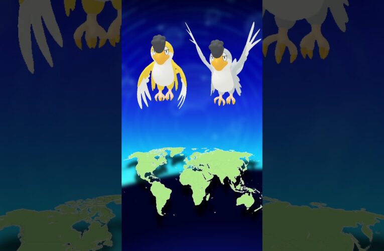 Pokémon GO Just Added Squawkabilly!🦜 (All Forms Explained) #squawkabilly #pokemongo #pokémongoevent