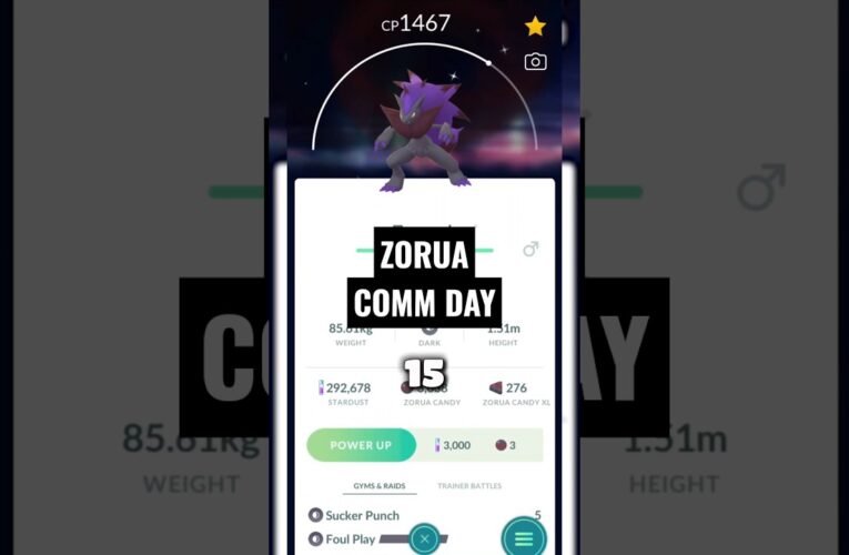 The results of Zorua Community Day in Pokemon GO #pokemon #pokemongo #pogo #pokemoncommunity